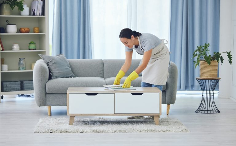 Image of woman cleaning the house
